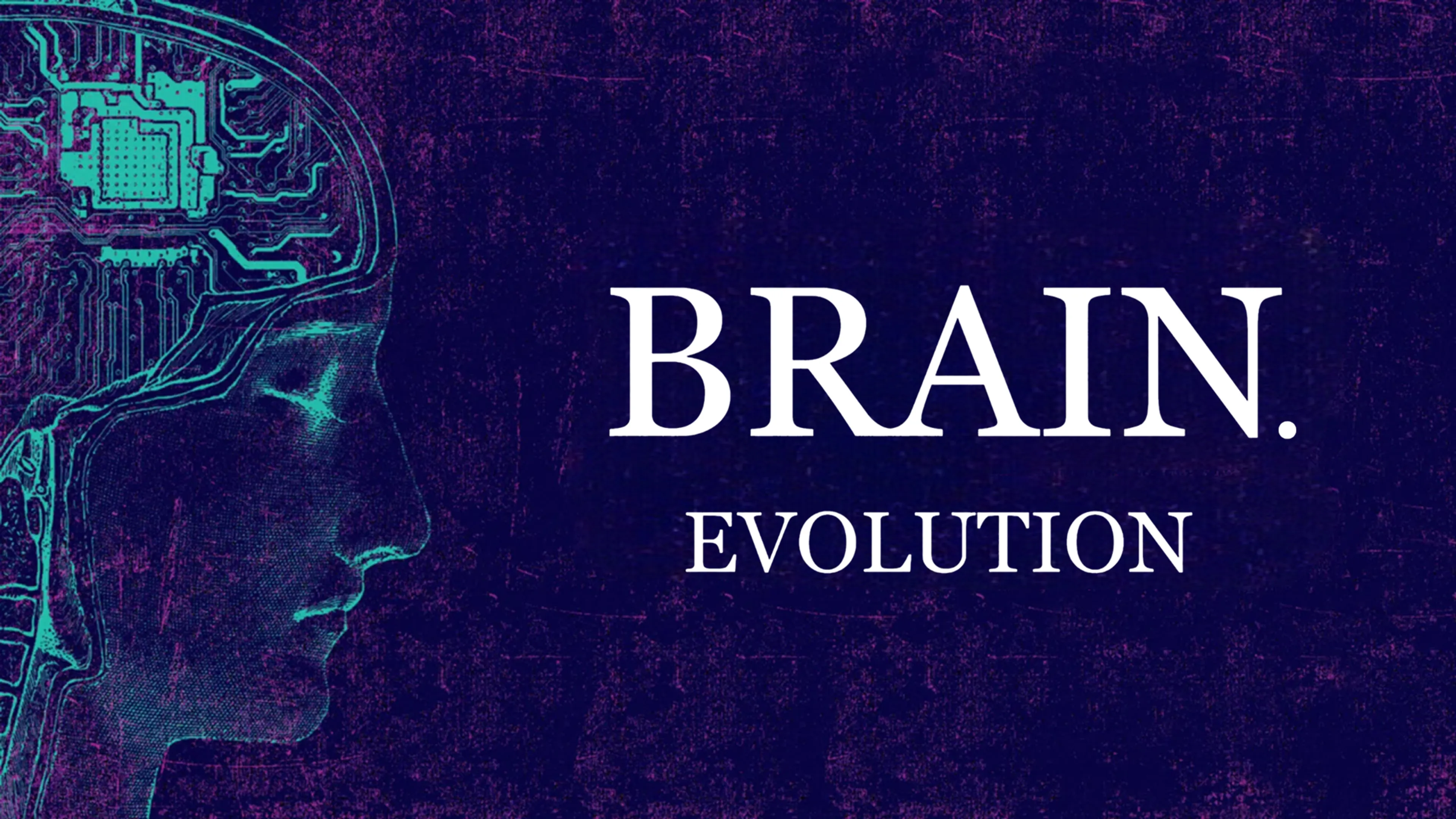 Brain. Evolution poster